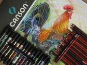 Работа-обзор карандашами Derwent Coloursoft и маркерами Winsor&Newton Brushmarker