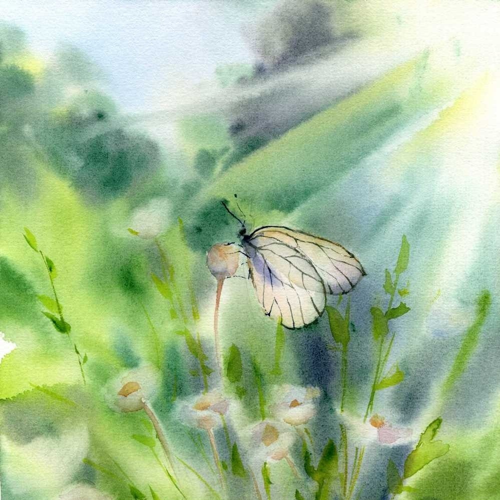 Летний сюжет с бабочкой