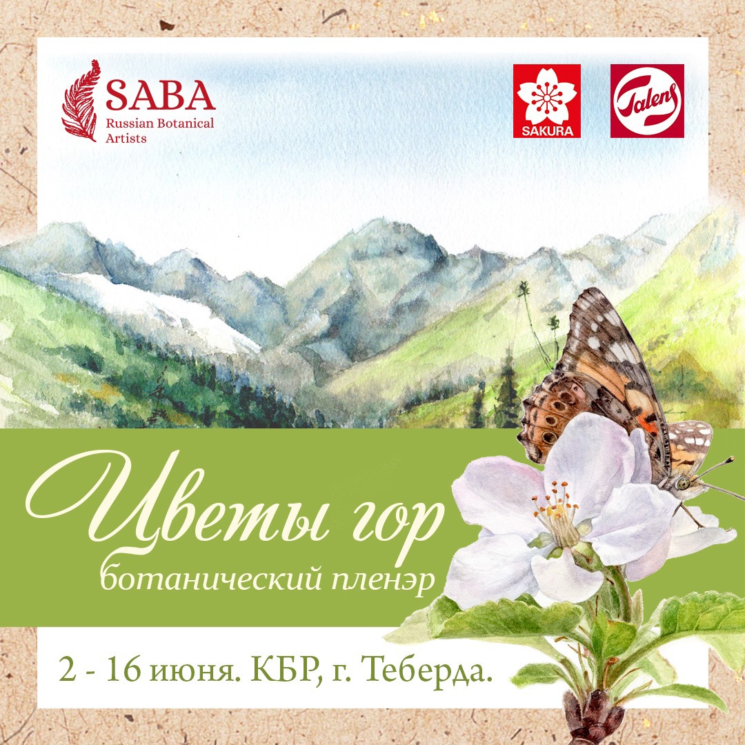 Royal Talens и Sakura – спонсоры ботанического пленэра «Цветы гор»