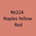 Amsterdam Standard №224 Naples Yellow Red