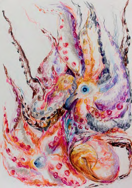 Antoon van Wijk "Octopus"
