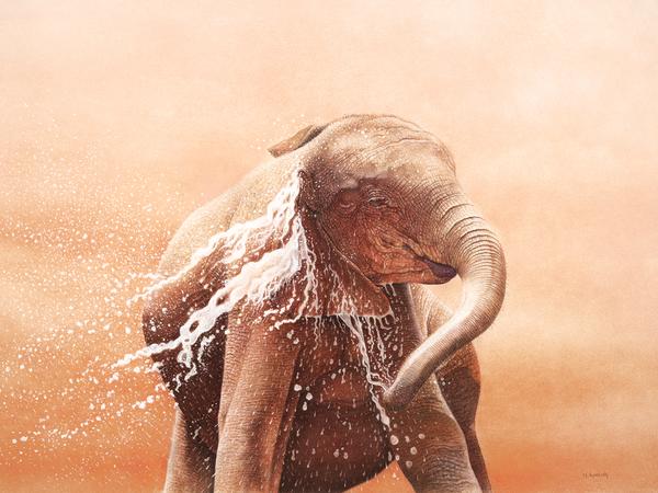 Работа Мартина Авелинга (Martin Aveling) Elephant Bath